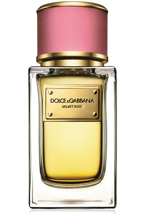 dolce gabbana rose perfume